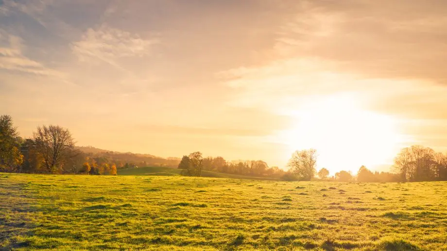 Farm at sunset