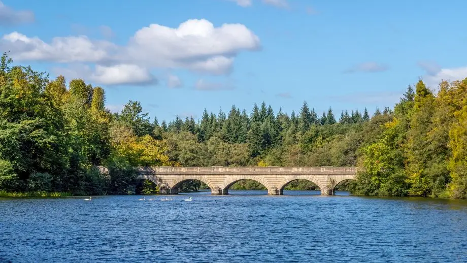 Lake with arched bridge